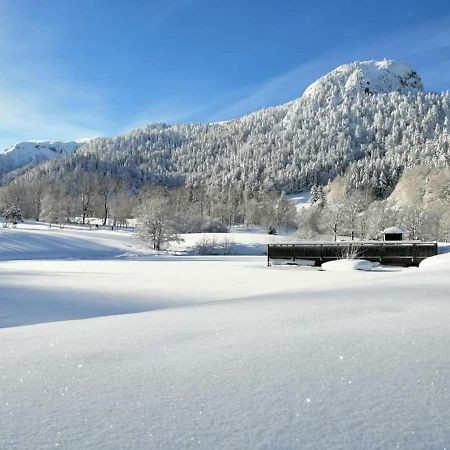 Chalet Des Cascades لو مونت دوري المظهر الخارجي الصورة