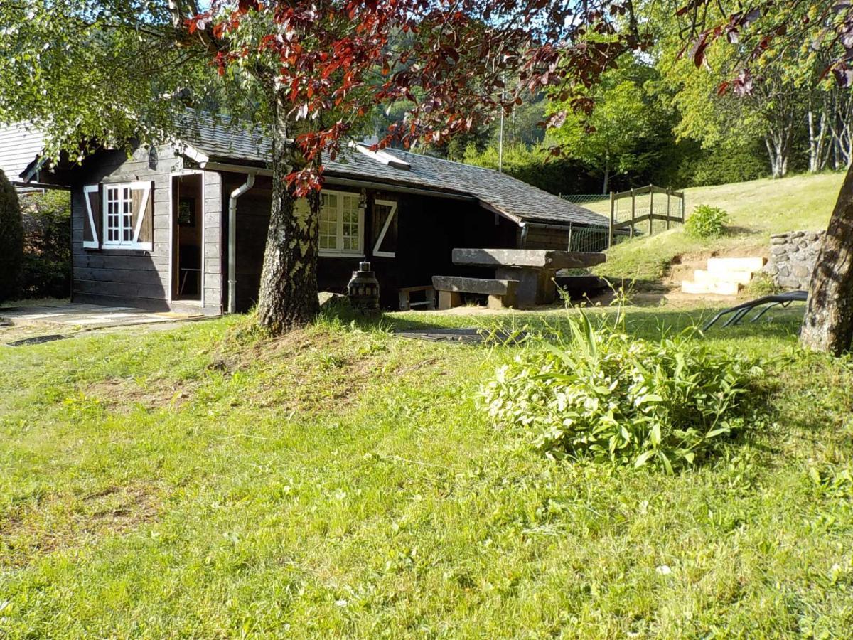 Chalet Des Cascades لو مونت دوري المظهر الخارجي الصورة
