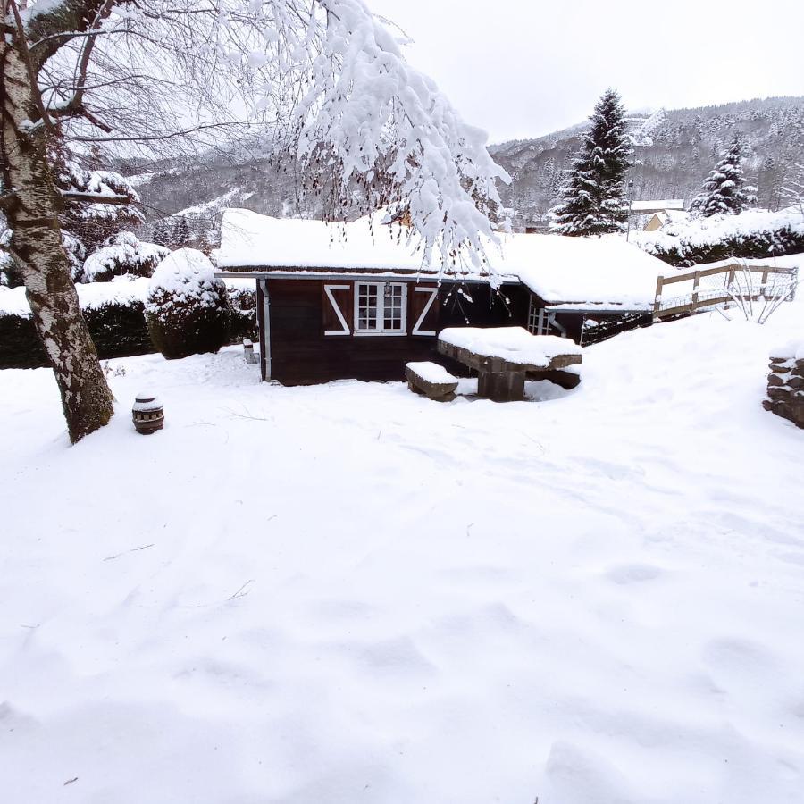 Chalet Des Cascades لو مونت دوري المظهر الخارجي الصورة