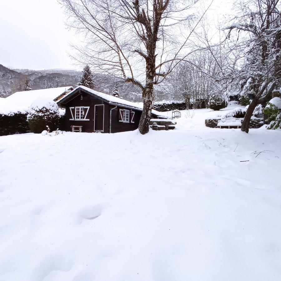 Chalet Des Cascades لو مونت دوري المظهر الخارجي الصورة