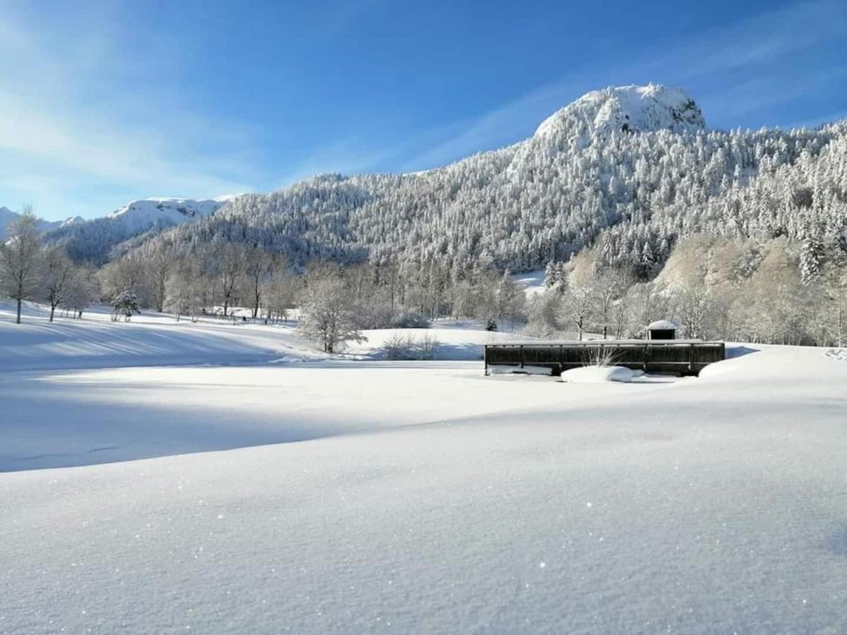 Chalet Des Cascades لو مونت دوري المظهر الخارجي الصورة